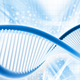 Illustration for article titled Ten Things You Probably Didnt Know About DNA